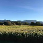 Apartamento In Bei Freiburg, Schwarzwald *
