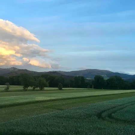 In Bei Freiburg, Schwarzwald * Stegen