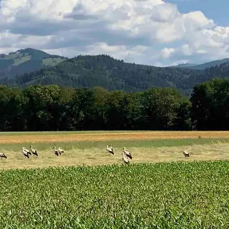 In Bei Freiburg, Schwarzwald * Stegen