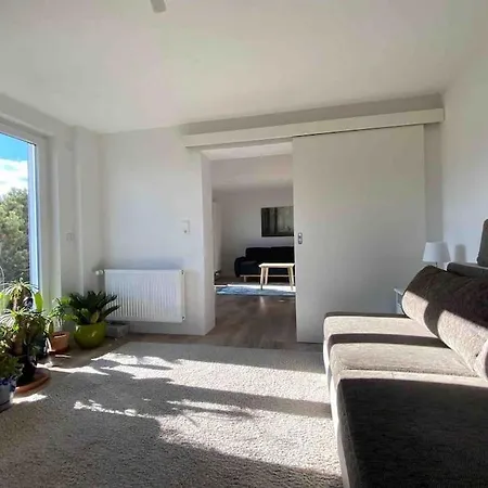 In Bei Freiburg, Schwarzwald Stegen