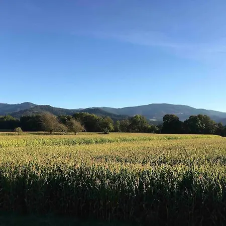 Appartamento In Bei Freiburg, Schwarzwald *